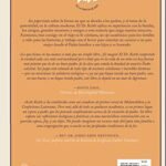 Ser Papa/El Padre Como Imagen De La Gracia De Dios – imagen 2
