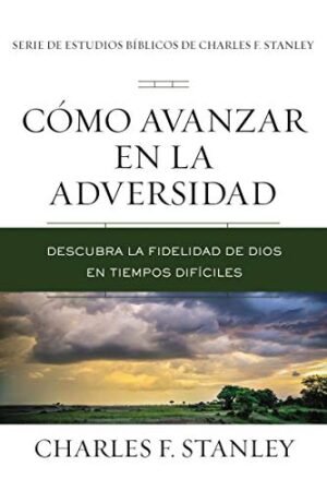 Como avanzar en la adversidad S