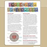 Genesis Unidad 2/ Guia AMO – imagen 2