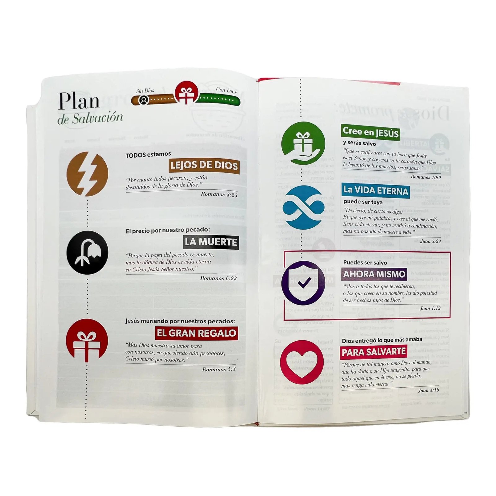 Biblia RV60/ Leon Negra/ Canto Blanco Eco Flex C7 6 Biblia RV60/ Leon Negra/ Canto Blanco Eco Flex C7 - Image 6