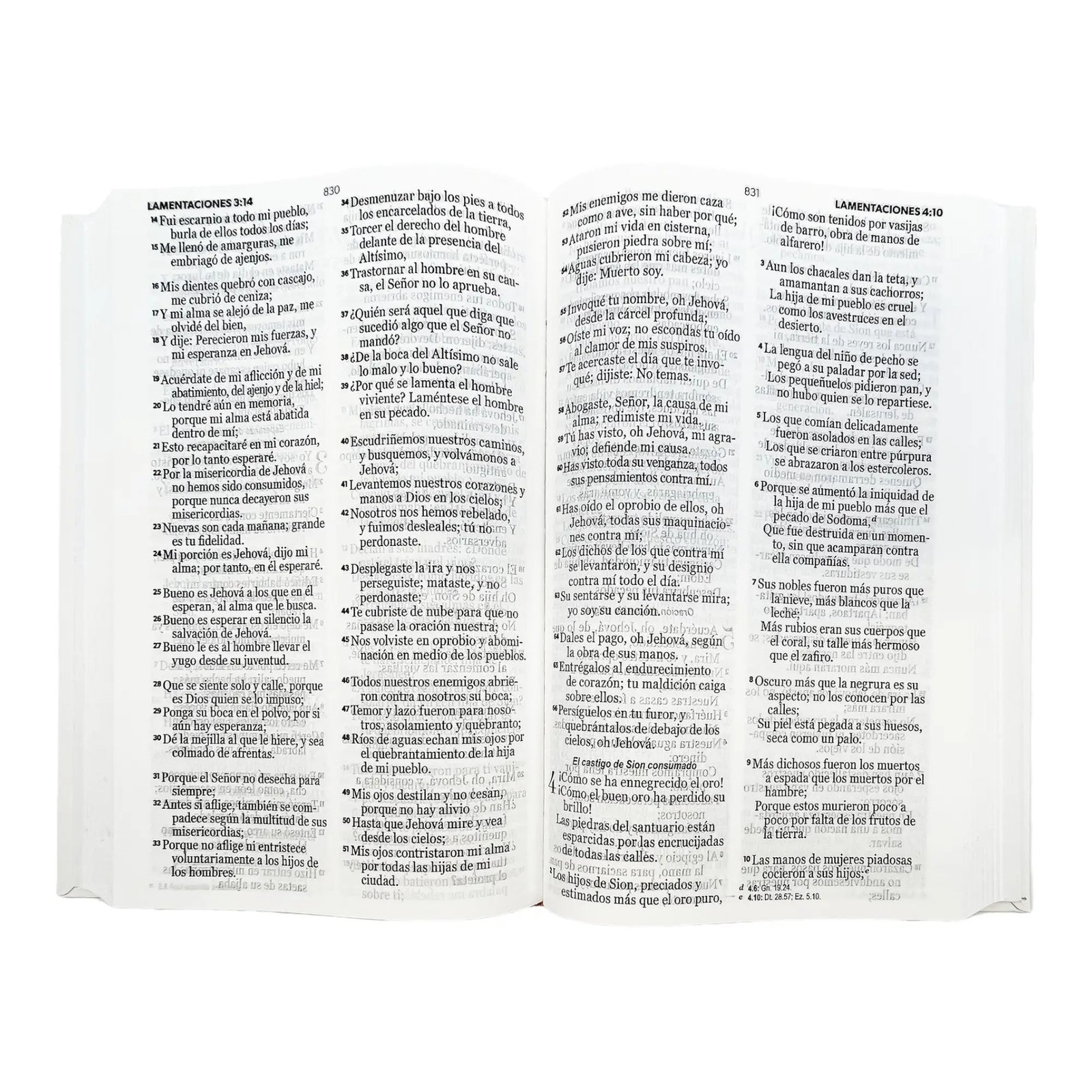 Biblia RV60/ Leon Negra/ Canto Blanco Eco Flex C7 3 Biblia RV60/ Leon Negra/ Canto Blanco Eco Flex C7 - Image 3