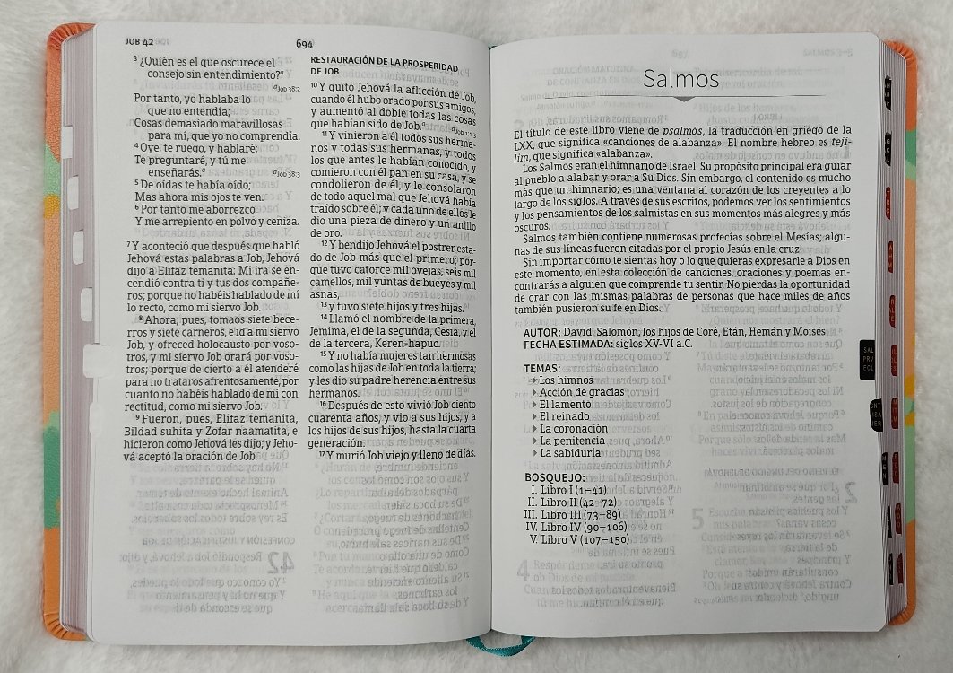 Biblia Letra Gigante 2 Biblia Letra Gigante - Image 2