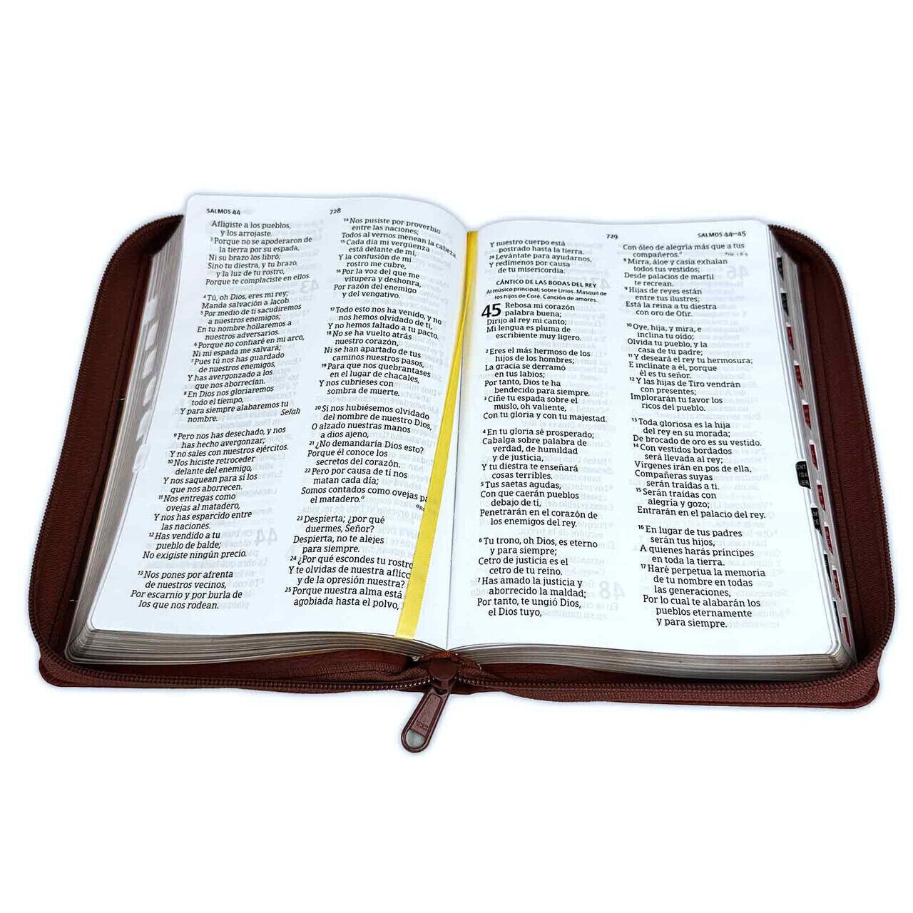 Biblia RVR60 Manual Letra Grande Símil Piel Café con Cierre e Índice 2 Biblia RVR60 Manual Letra Grande Símil Piel Café con Cierre e Índice - Image 2
