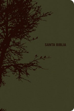 Biblia Edición Personal letra Grande Verde Olivo