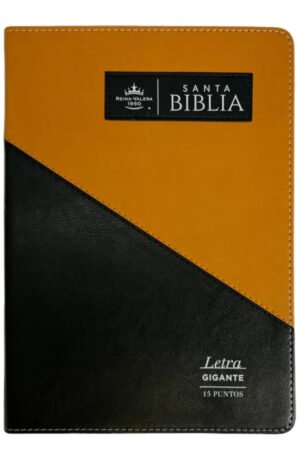 Reina Valera 1960  Triangular Negro Café