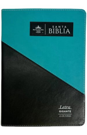 Reina Valera 1960 Triangular Negro Turquesa