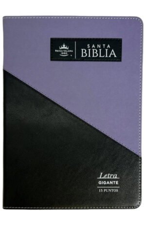 Reina Valera 1960 Triangular Negro Lila