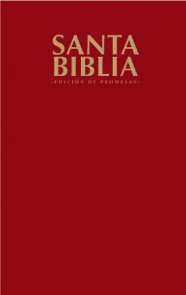 Biblia De Promesas Edición Económica Vino 1 Biblia De Promesas Edición Económica Vino