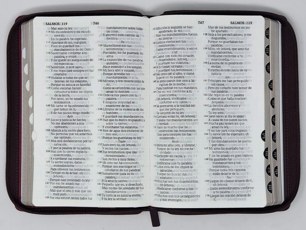 Biblia RVR60 LG tamaño manual con cierre con índice 3 Biblia RVR60 LG tamaño manual con cierre con índice - Image 3