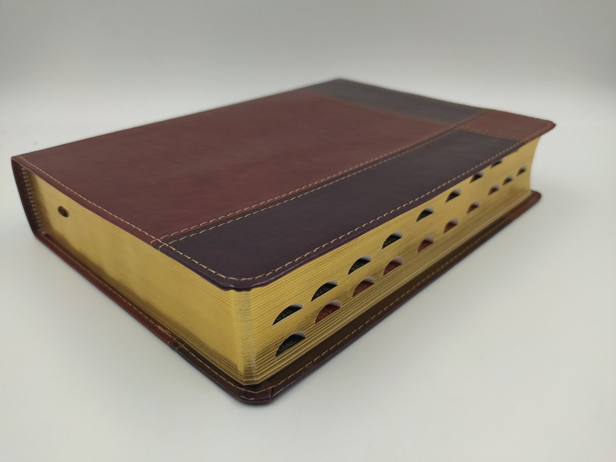 Biblia RVR60 de Estudio Ryrie Ampliada Marrón Dúo Índice 1 Biblia RVR60 de Estudio Ryrie Ampliada Marrón Dúo Índice