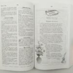 RV60 Biblia mi dia con Dios. Tapa rústica – imagen 3