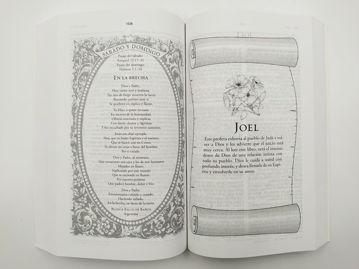 Mi Día con Dios | Biblia para Mujeres RVR60 | Tapa Rústica 2 Mi Día con Dios | Biblia para Mujeres RVR60 | Tapa Rústica - Image 2