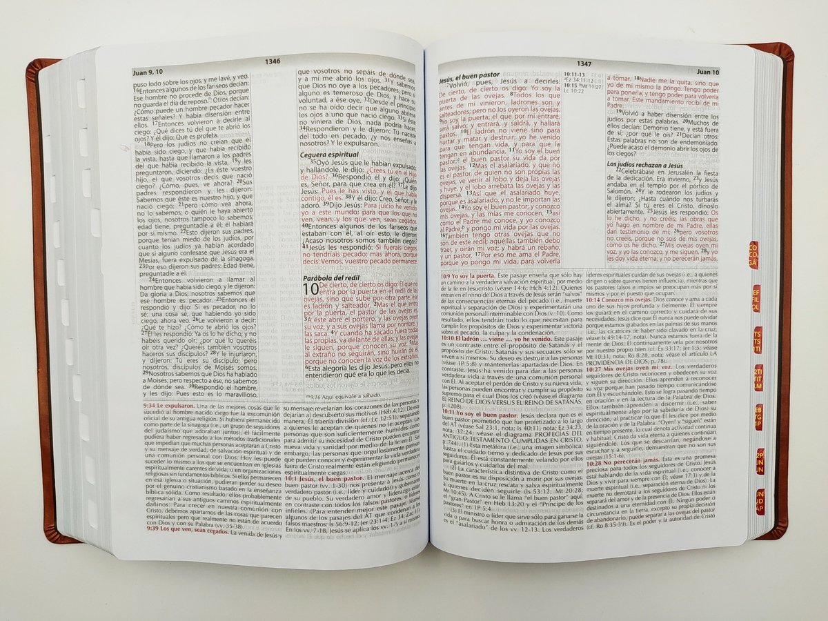Biblia RVR60 Vida Plena de estudio con índice/ símil piel 4 Biblia RVR60 Vida Plena de estudio con índice/ símil piel - Image 4