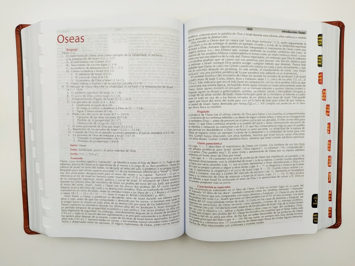 Biblia RVR60 Vida Plena de estudio con índice/ símil piel 6 Biblia RVR60 Vida Plena de estudio con índice/ símil piel - Image 6