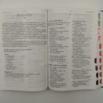Biblia RVR 1960 Letra Grande Tamaño Manual Letra Grande Tamaño Manual Bordado sobre tela con Índice – imagen 3