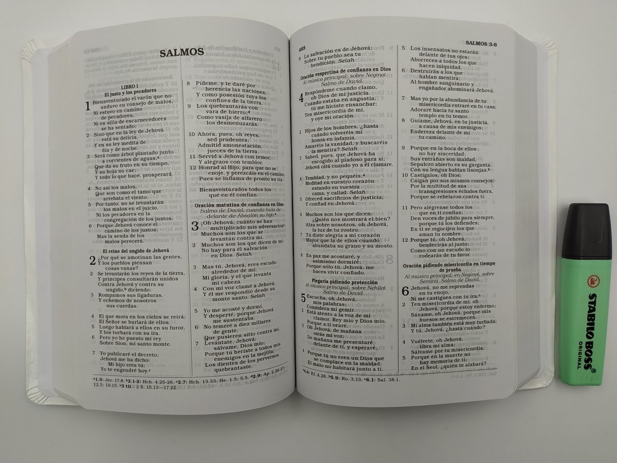Biblia RVR60 Regalos Y Premios Blanco 7 Biblia RVR60 Regalos Y Premios Blanco - Image 7