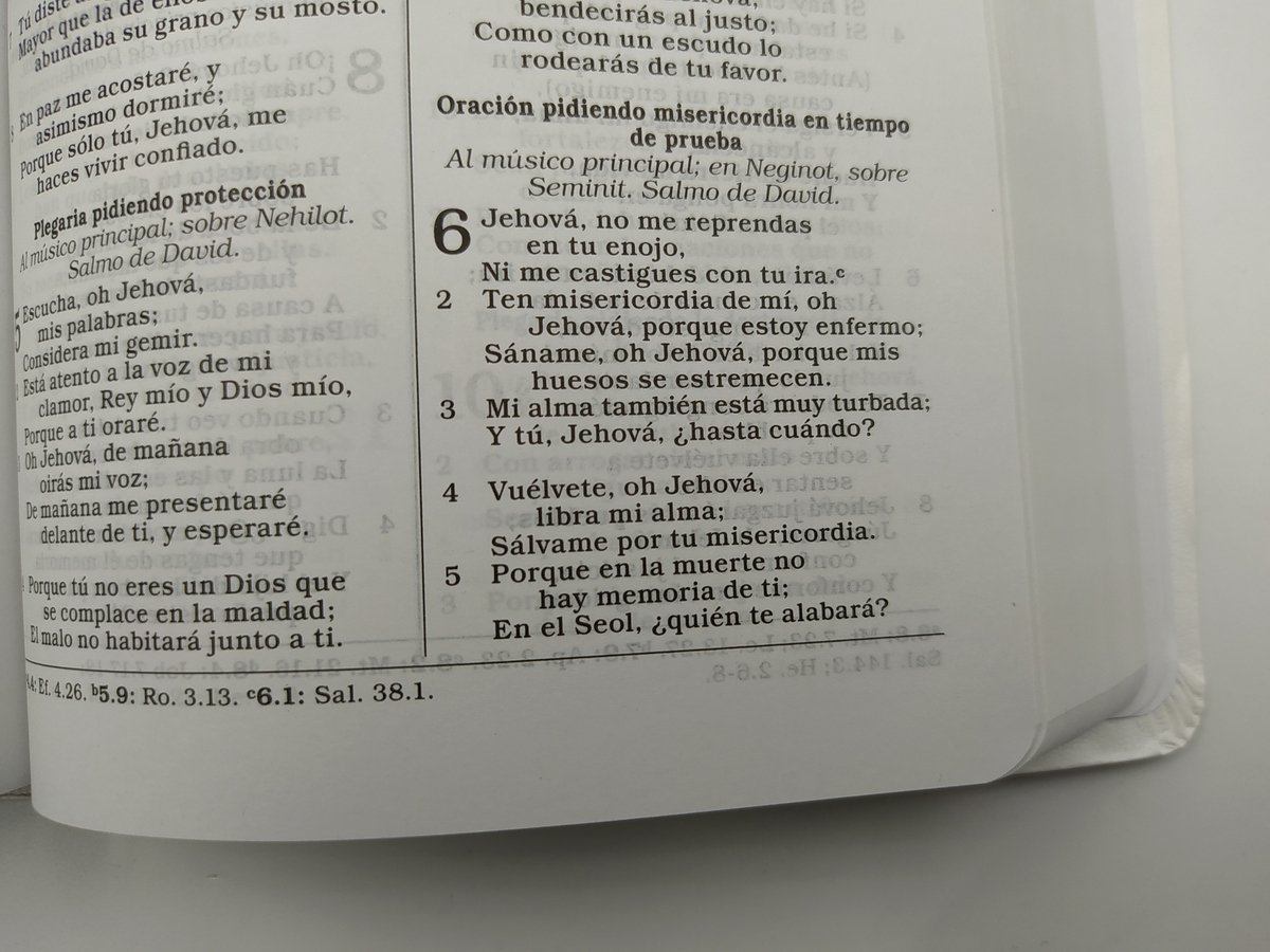 Biblia RVR60 Regalos Y Premios Blanco 6 Biblia RVR60 Regalos Y Premios Blanco - Image 6
