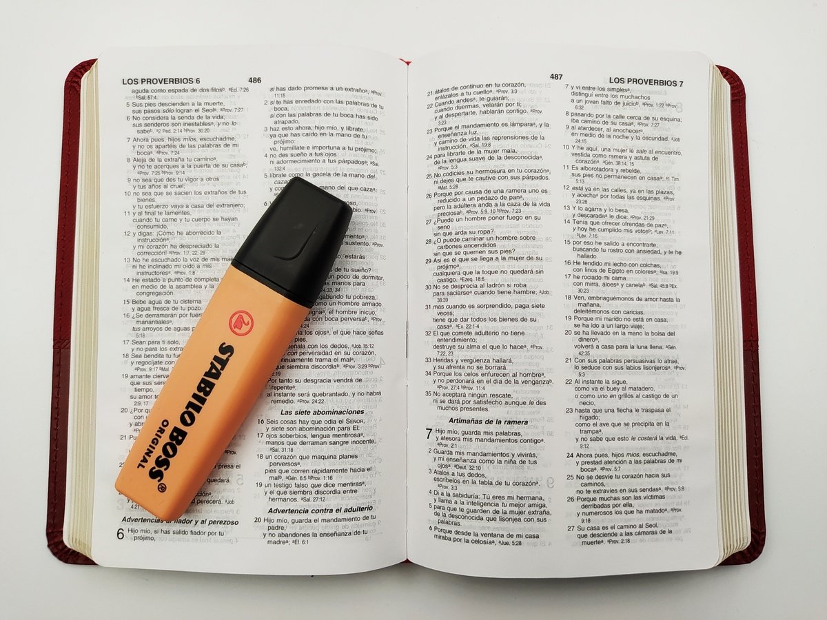 Biblia Las Americas/Ultrafina/Compacta 2 Biblia Las Americas/Ultrafina/Compacta - Image 2