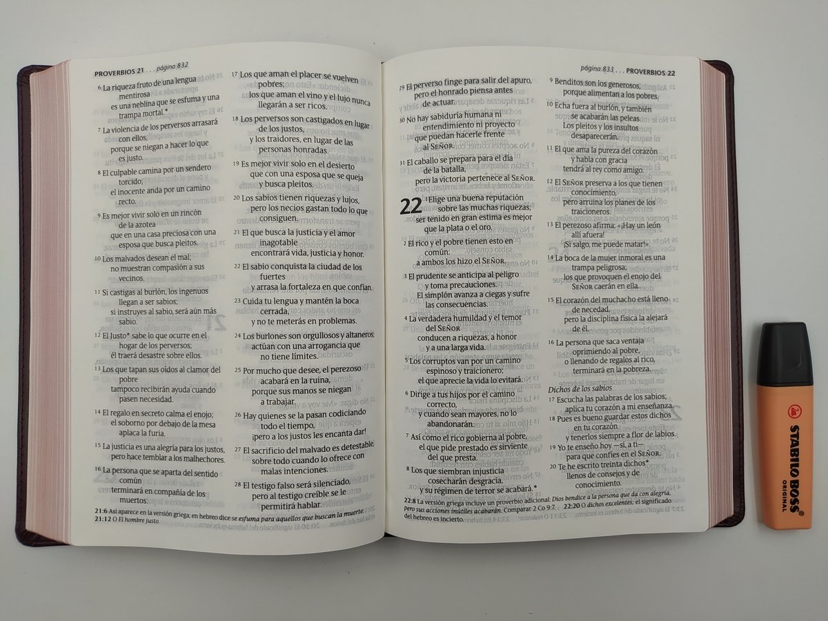 Biblia NTV/Edicion Clasica/Sentipiel/Vino Tinto 3 Biblia NTV/Edicion Clasica/Sentipiel/Vino Tinto - Image 3