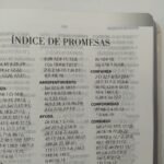 RV60 Biblia de promesas LG flores canto plateado