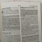 RV60 Biblia de promesas LG flores canto plateado