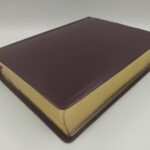 Biblia de Estudio Mundo Hispano RVC – Piel Color Vino – imagen 2
