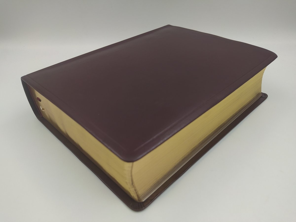 Biblia RVR 2015 de Estudio Mundo Hispano Vino Piel 2 Biblia RVR 2015 de Estudio Mundo Hispano Vino Piel - Image 2