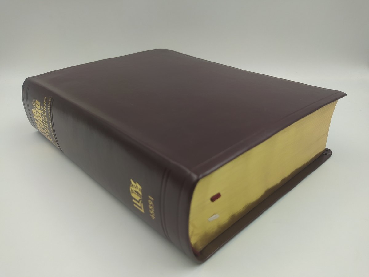 Biblia RVR 2015 de Estudio Mundo Hispano Vino Piel 3 Biblia RVR 2015 de Estudio Mundo Hispano Vino Piel - Image 3