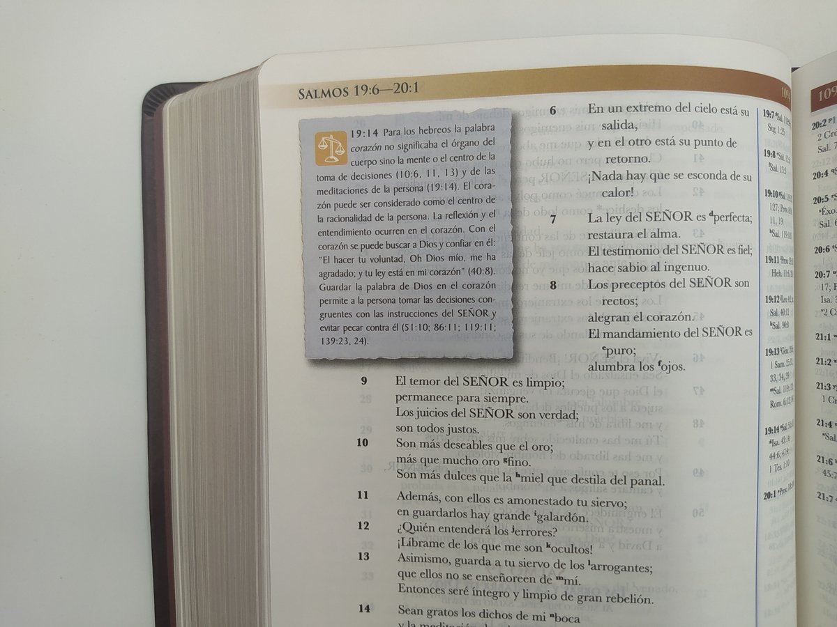 Biblia RVR 2015 de Estudio Mundo Hispano Vino Piel 5 Biblia RVR 2015 de Estudio Mundo Hispano Vino Piel - Image 5