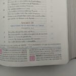 Biblia de Estudio Mundo Hispano RVC – Piel Color Vino – imagen 6