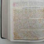 Biblia de Estudio Mundo Hispano RVC – Piel Color Vino – imagen 7