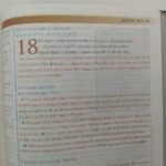 Biblia de Estudio Mundo Hispano RVC – Piel Color Vino – imagen 8