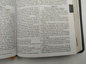 Biblia NVI Tipo Agenda
