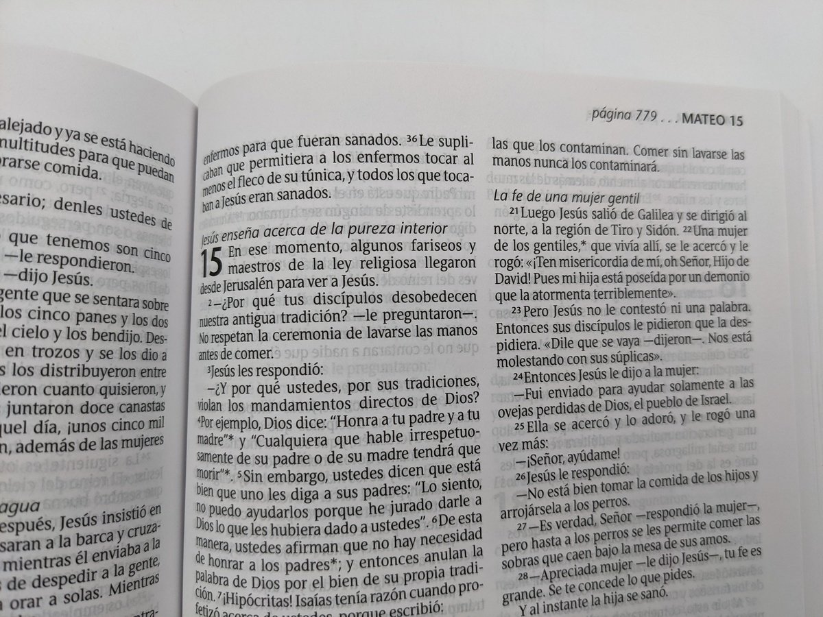 Biblia Vida Abundante Nueva Traducción Viviente 2 Biblia Vida Abundante Nueva Traducción Viviente - Image 2
