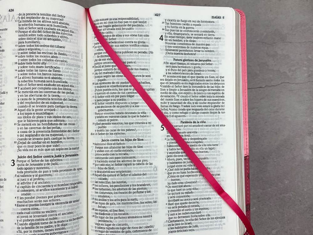 Biblia RVR 2020 Rosa Rosa Corazones 4 Biblia RVR 2020 Rosa Rosa Corazones - Image 4