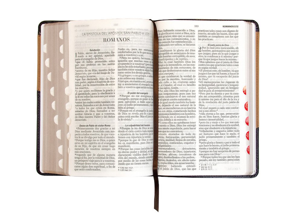 Biblia RVR60 LG Tamaño Manual Símil Piel Duotono con Índice 2 Biblia RVR60 LG Tamaño Manual Símil Piel Duotono con Índice - Image 2