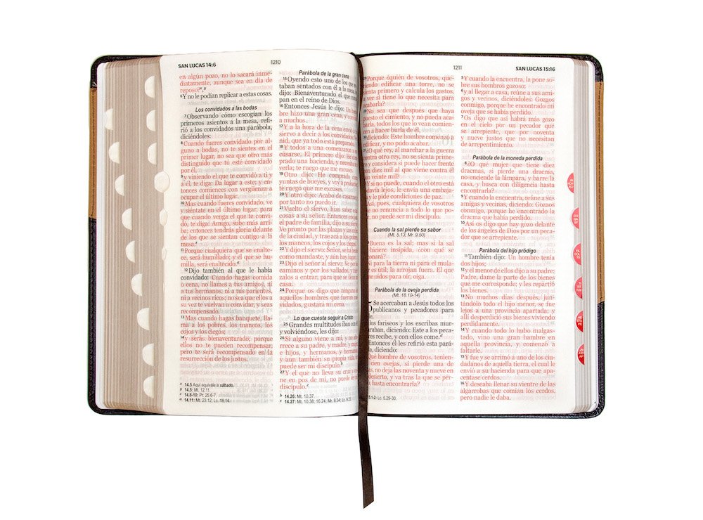 Biblia RVR60 LG Tamaño Manual Símil Piel Duotono con Índice 4 Biblia RVR60 LG Tamaño Manual Símil Piel Duotono con Índice - Image 4