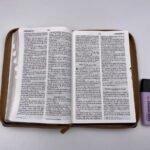 biblia rvrgo lg tamaño manual – imagen 2