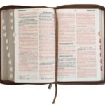 biblia rvrgo lg tamaño manual – imagen 4
