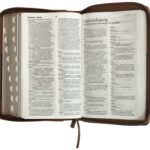 biblia rvrgo lg tamaño manual – imagen 5