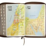 biblia rvrgo lg tamaño manual – imagen 7
