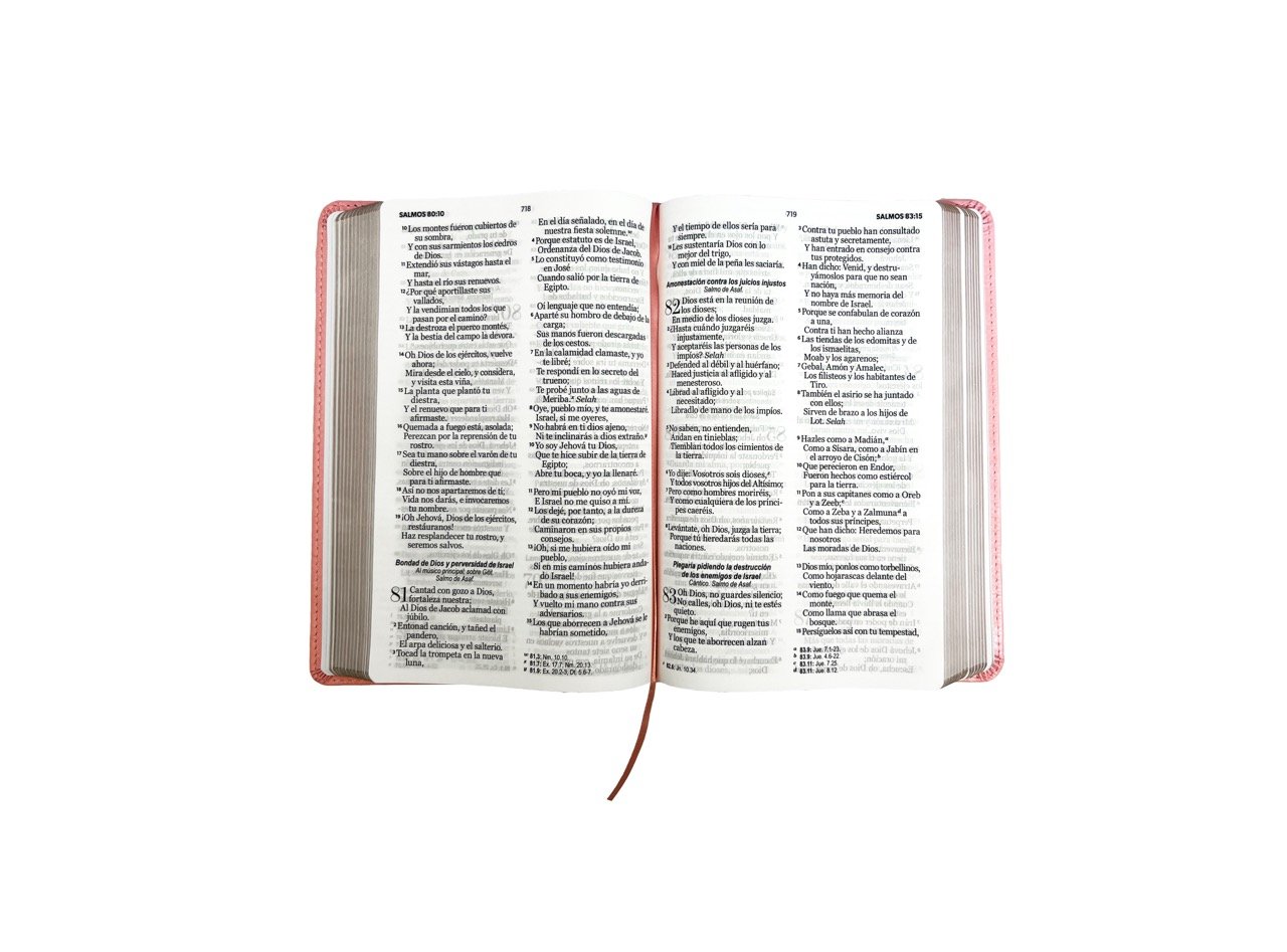 Biblia RVR1960 Manual LG / Imitación Piel Rosa 5 Biblia RVR1960 Manual LG / Imitación Piel Rosa - Image 5