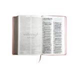 Biblia RVR1960 Manual LG / Imitación Piel Rosa