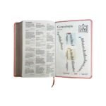 Biblia RVR1960 Manual LG / Imitación Piel Rosa