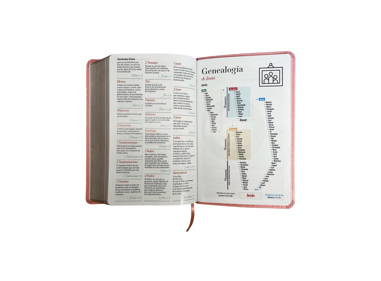 Biblia RVR1960 Manual LG / Imitación Piel Rosa 8 Biblia RVR1960 Manual LG / Imitación Piel Rosa - Image 8