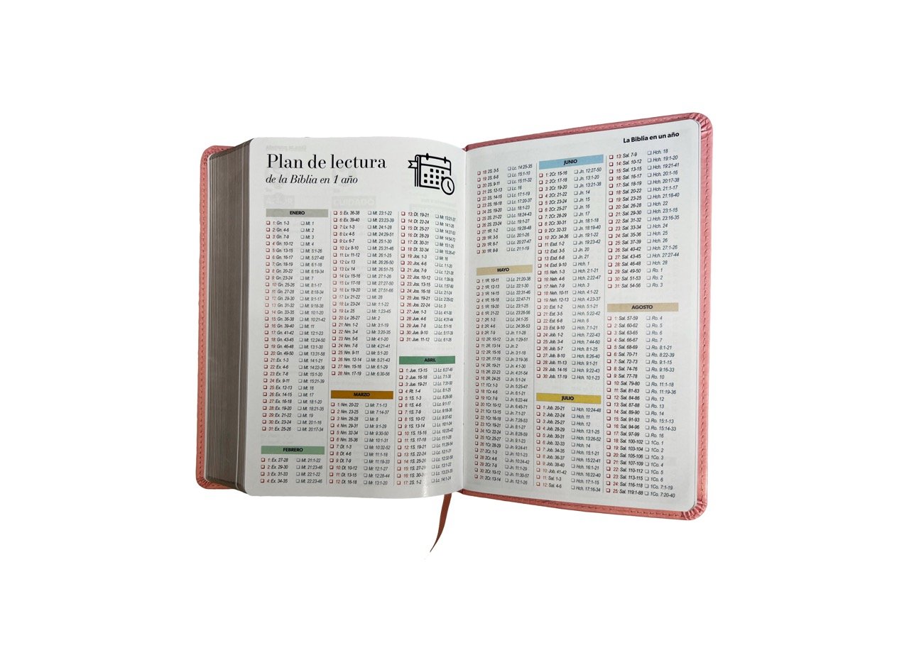 Biblia RVR1960 Manual LG / Imitación Piel Rosa 11 Biblia RVR1960 Manual LG / Imitación Piel Rosa - Image 11
