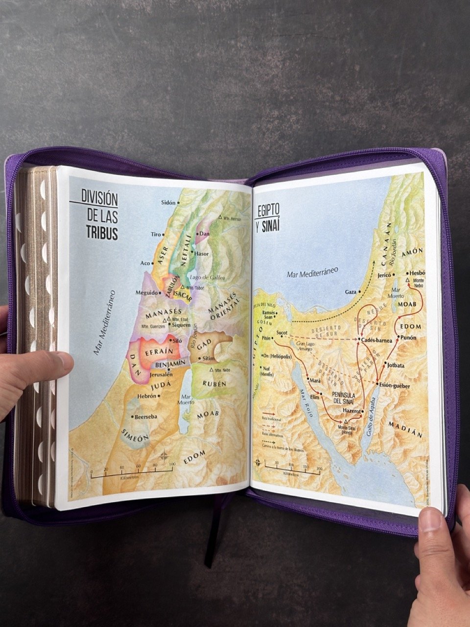 Biblia RVR60 Letra Súper Gigante Tricolor Lila Morado Negro 4 Biblia RVR60 Letra Súper Gigante Tricolor Lila Morado Negro - Image 4