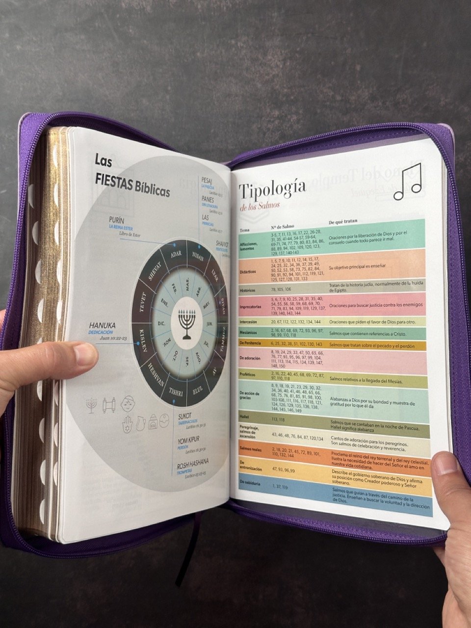 Biblia RVR60 Letra Súper Gigante Tricolor Lila Morado Negro 3 Biblia RVR60 Letra Súper Gigante Tricolor Lila Morado Negro - Image 3