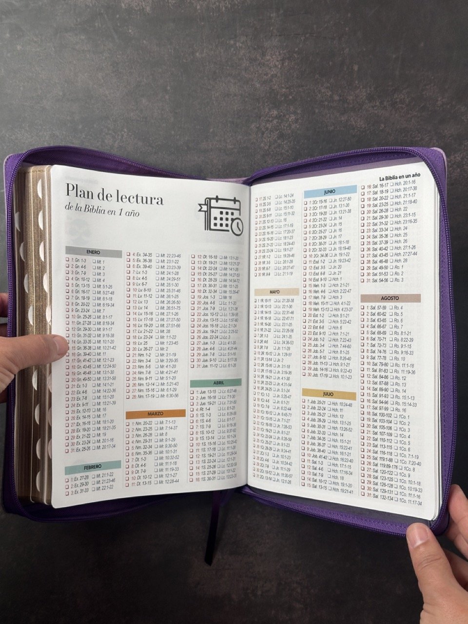 Biblia RVR60 Letra Súper Gigante Tricolor Lila Morado Negro 2 Biblia RVR60 Letra Súper Gigante Tricolor Lila Morado Negro - Image 2