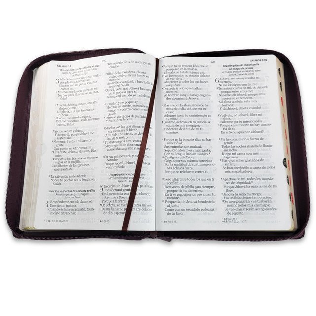 Biblia Gigante 15 puntos RV1960 Café Oscuro 3 Biblia Gigante 15 puntos RV1960 Café Oscuro - Image 3